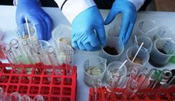 BPOM Gerebek Pabrik Obat Tradisional Ilegal, Total Barang Bukti Rp1,4 Miliar