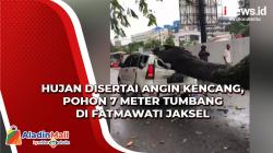 Hujan Disertai Angin Kencang, Pohon 7 Meter Tumbang Timpa Mobil di Fatmawati Jaksel