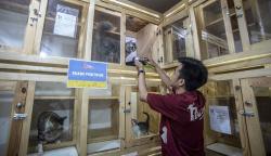 Jasa Penitipan Hewan Meningkat Jelang Lebaran, Tarif hingga Rp150.000 per Hari