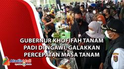 Gubernur Khofifah Tanam Padi di Ngawi, Galakkan Percepatan Masa Tanam