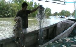 Nelayan Kalsel Kembali Keluhkan Kerusakan Jaring gegara Kapal Cantrang