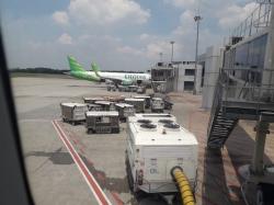 Ribuan Orang Datang, Penumpang Masuk Bandara El Tari Naik 544,53 Persen