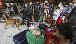 Cegah Peredaran Narkotika, Anjing Pelacak BNN Periksa Barang Bawaan Pemudik<