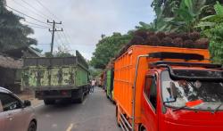 Arus Mudik Jalinbar Lampung-Bengkulu Lumpuh 2 Jam, Ini Penyebabnya