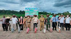 Tingkatkan Kesejahteraan Masyarakat, Pemkab Morowali Utara Luncurkan 2 Program Pro Rakyat