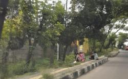 Jelang Lebaran Pengemis Musiman Bermunculan, Ini Tanggapan Dinsos Sumsel<
