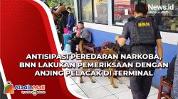 Antisipasi Peredaran Narkoba, BNN Lakukan Pemeriksaan dengan Anjing Pelacak di Terminal Kampung Rambutan