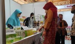 Berawal Dari Zakat Dompet Dhuafa Kembangkan Kampung Aloevera 