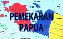 Kenapa Papua Diberi Otonomi Khusus dan Kini Jadi 6 Provinsi ? Ini Penjelasan Lengkapnya