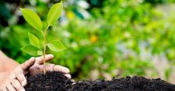 Sophie Navita Ungkap Cara Terapkan Hidup Sehat dengan Konsep Sustainability