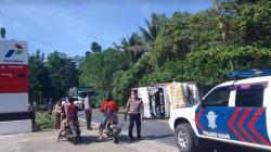 Kecelakaan di Jalinbar Bengkulu-Lampung, Truk Terbalik gegara Hindari Sapi