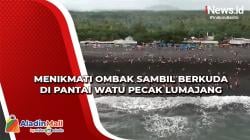 Sensasi Ombak Sambil Berkuda di Pantai Watu Pecak Lumajang