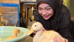 Ria Ricis Buka Lowongan Suster Pengasuh Anak Bebek, Gaji di Atas UMR
