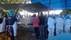 Polisi Bongkar Makam Tahanan Tewas di Muna, Disaksikan Ratusan Keluarga Almarhum