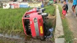 Sopir Lupa Tarik Rem Tangan, Angkot Nyelonong ke Sawah lalu Terguling di Cianjur