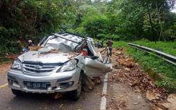Mengerikan, Pemudik Asal Sumsel Tewas Tertimpa Pohon di Taba Penanjung Bengkulu<