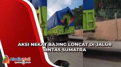 Aksi Nekat Bajing Loncat di Jalur Lintas Sumatra
