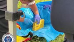  Polisi Temukan Mayat Penyelam Bawa 50 Kg Kokain Senilai Rp200 Miliar