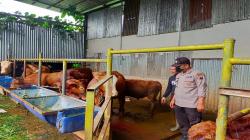 Cegah Penularan PKM, Pemkab Bantul Siagakan TRC untuk Pantau Lalu Lintas Ternak