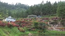 Menikmati Wisata Tracking Lembah Rembulan di Kaki Gunung Slamet