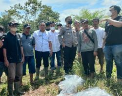 Sebulan Hilang, Nenek Pikun Ditemukan Tewas di Kebun Tinggal Tengkorak