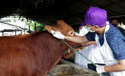 5 Pekerjaan yang Berhubungan dengan Hewan yang Memiliki Gaji Tinggi 