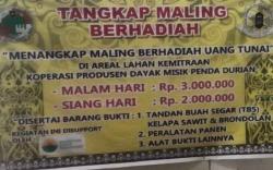 Viral Sayembara Tangkap Maling Sawit Hadiah Jutaan Rupiah, Upah Siang Malam Beda