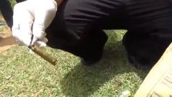 Olah TKP Penembakan di Indrapuri Aceh Besar, Ditemukan 4 Selongsong Peluru