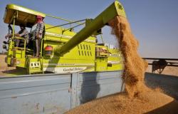  Larangan Ekspor Gandum India Perburuk Pasokan Pangan Dunia, Lebih Dari 44 Juta Orang di Ambang Kelaparan 