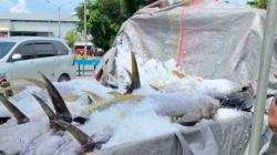 Tingkat Kesejahteraan Nelayan Sulut Membaik