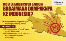 Infografis India Larang Ekspor Gandum, Bagaimana Dampaknya ke Indonesia?