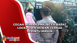 Cegah Wabah PMK, Aceh Barat Lockdown Hewan Ternak di Pintu Masuk