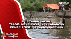 Dua Tahun Vakum, Tradisi Menangkap Ikan Larangan Kembali Digelar Warga Pasaman