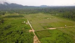Bakal Jadi Lumbung Pangan IKN, Dua Desa di Tana Tidung Dibangun Akses Jalan Penghubung