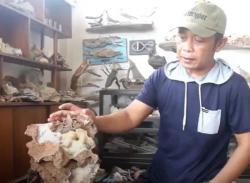 Hobi Koleksi Batu Kristal, ASN di Parepare Raup Cuan Jutaan Rupiah tiap Bulan