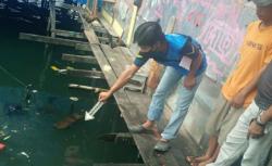 Geger, Warga Kawasan Pasar Hamadi Jayapura Temukan Janin Bayi Mengapung di Pantai