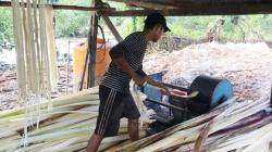 Kementan Dukung Pengembangan Serat Abaka di Kepulauan Talaud Jadi Komoditas Ekspor Unggulan Sulut