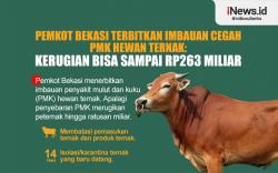 Infografis Pemkot Bekasi Terbitkan Imbauan Cegah PMK Hewan Ternak: Kerugian Bisa Sampai Rp263 Miliar