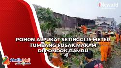 Hujan Angin, Pohon Alpukat Setinggi 15 Meter Tumbang Rusak Makam di Pondok Bambu