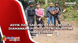 Asyik Judi Sabung Ayam, 5 Warga Diamankan Polisi di Tengah Hutan Tana Toraja