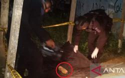 Gali Saluran Air, Warga Sorong Temukan Bom Peninggalan Perang Dunia