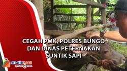 Cegah PMK, Polres Bungo dan Dinas Peternakan Suntik Sapi