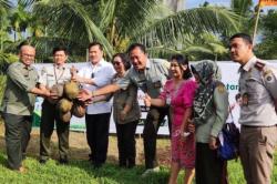 Komoditi Andalan Sulut, Kementan Remajakan Bibit Kelapa dan Pala 
