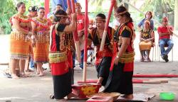 Tradisi Perempuan Suku Daya Ikuti Lomba Menumbuk Padi 