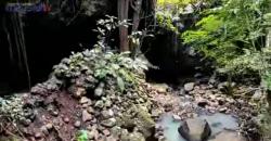 Mengintip Gua Purba Misterius, Tersembunyi di Tengah Hutan Perbatasan Jombang-Mojokerto