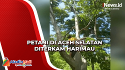 Petani di Aceh Selatan Diterkam Harimau