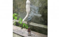  Misteri Pocong Celana Dalam Bekas di Pohon Angker, Ritual Istri yang Diselingkuhi Suami