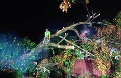 Hujan Angin Landa Seyegan Sleman, 2 Rumah Warga Rusak Tertimpa Pohon