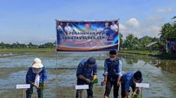 Bupati Dorong Petani Bone Bolango untuk Panen 3 Kali dalam Setahun