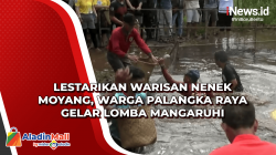 Lestarikan Warisan Nenek Moyang, Warga Palangka Raya Gelar Lomba Mangaruhi